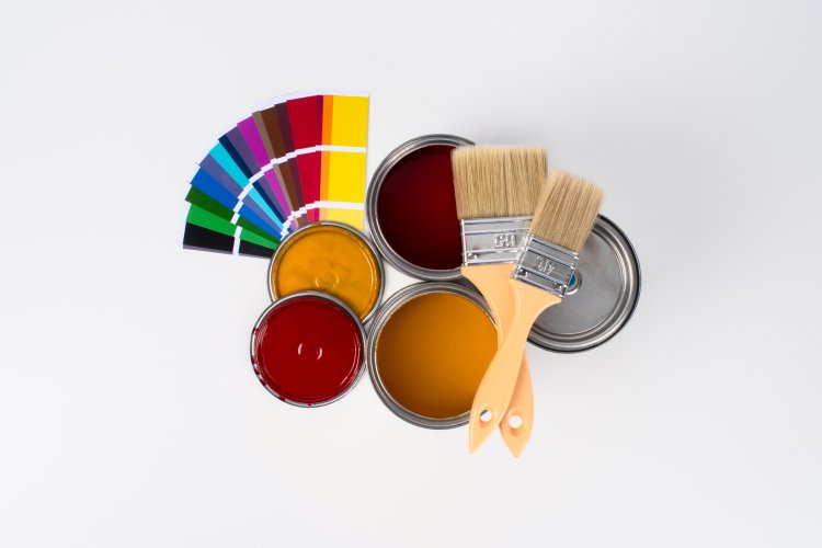 Affordable House Painting by a Skilled Residential Painter in San Antonio