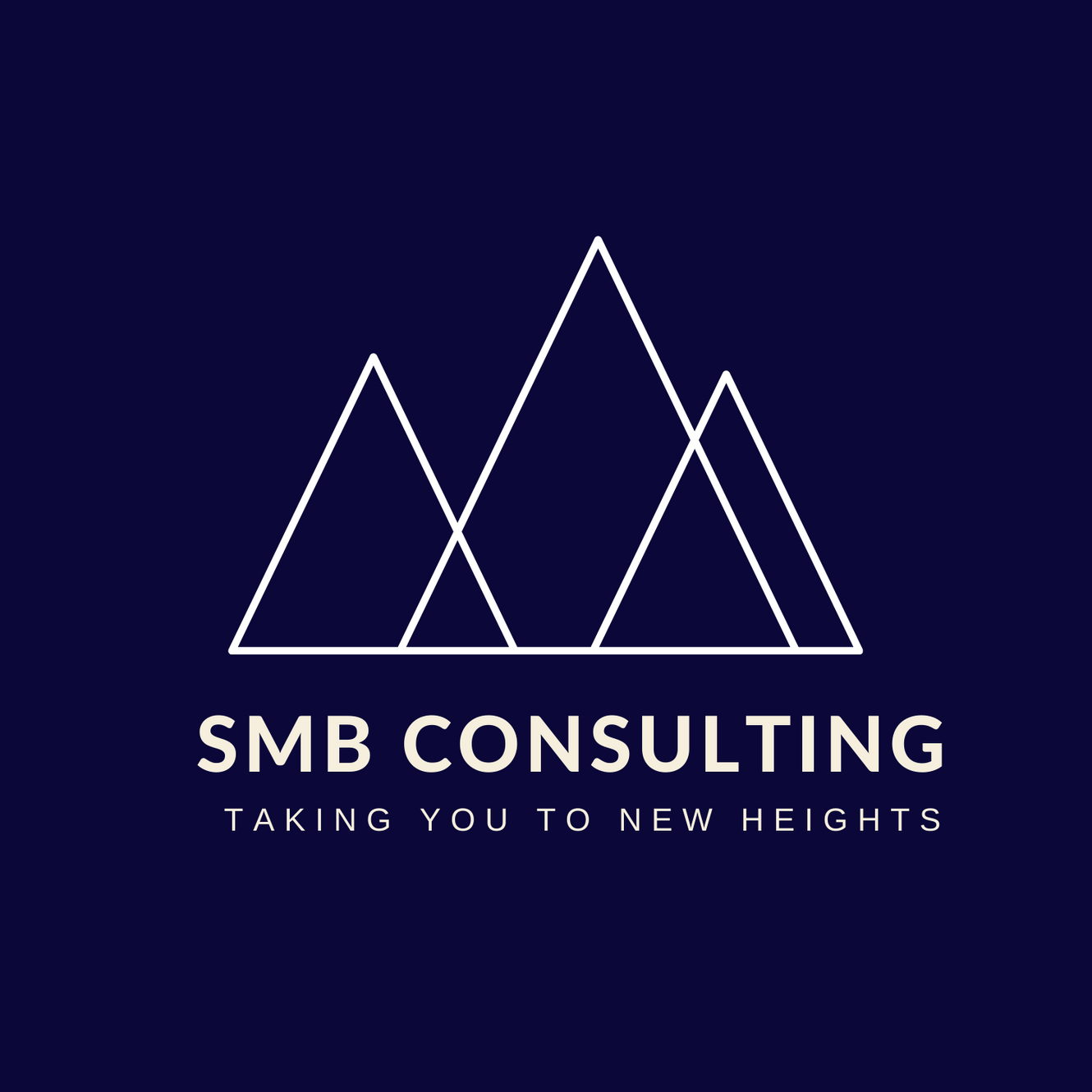 Unveiling the SMB Media Consulting Company