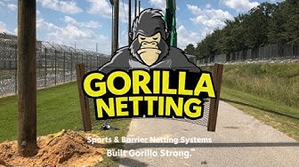 Gorilla Netting Company Overview Unveiling Excellence